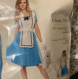 Alice in wonderland costume (size xl)